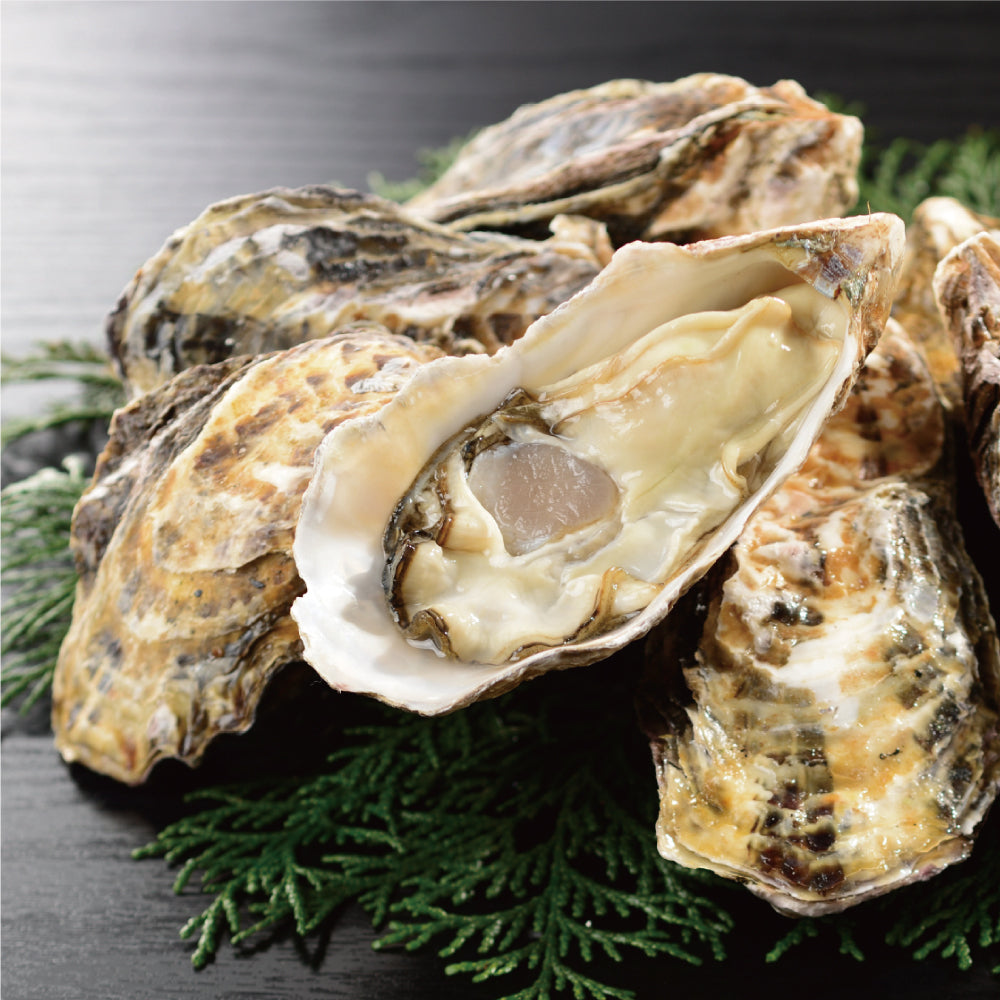 【夏季限定】牡蠣から揚げせんべい