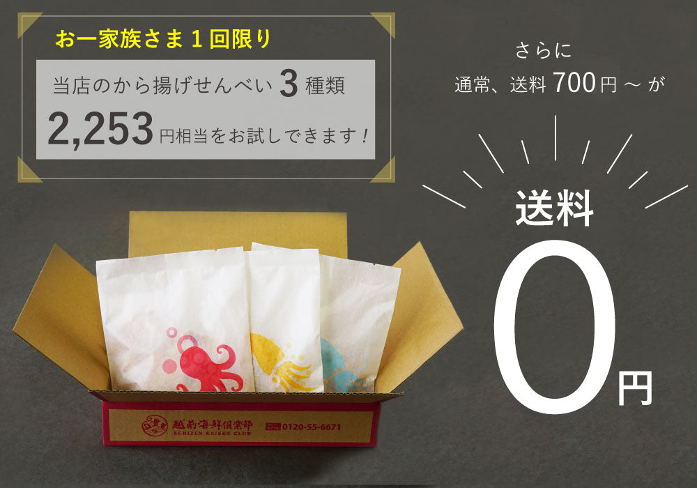 【WEB限定】【送料無料】から揚げせんべいお試しセット