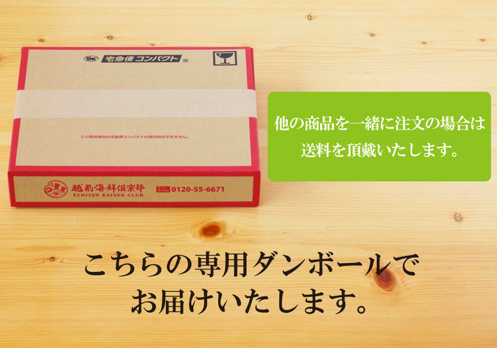 【WEB限定】【送料無料】から揚げせんべいお試しセット