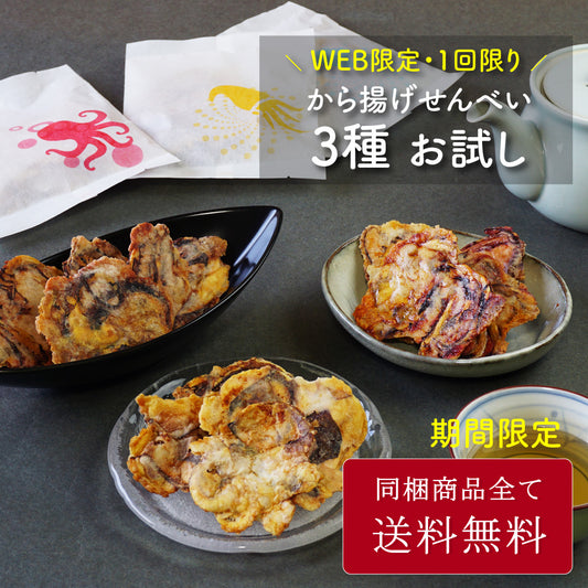 【WEB限定】【送料無料】から揚げせんべいお試しセット