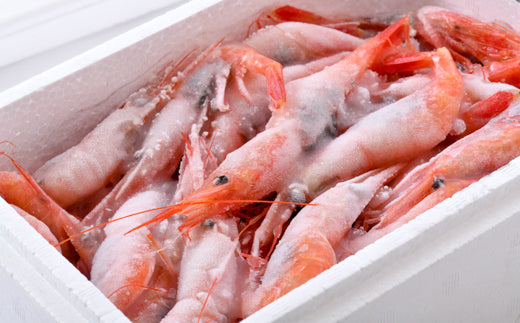 【ふるさと納税】新鮮甘えび×新鮮せんべい ~五島水産ファンに食べていただきたい甘えびのキセキ~