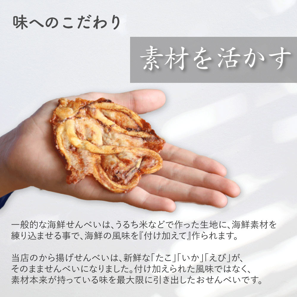 【WEB限定】【送料無料】から揚げせんべいお試しセット