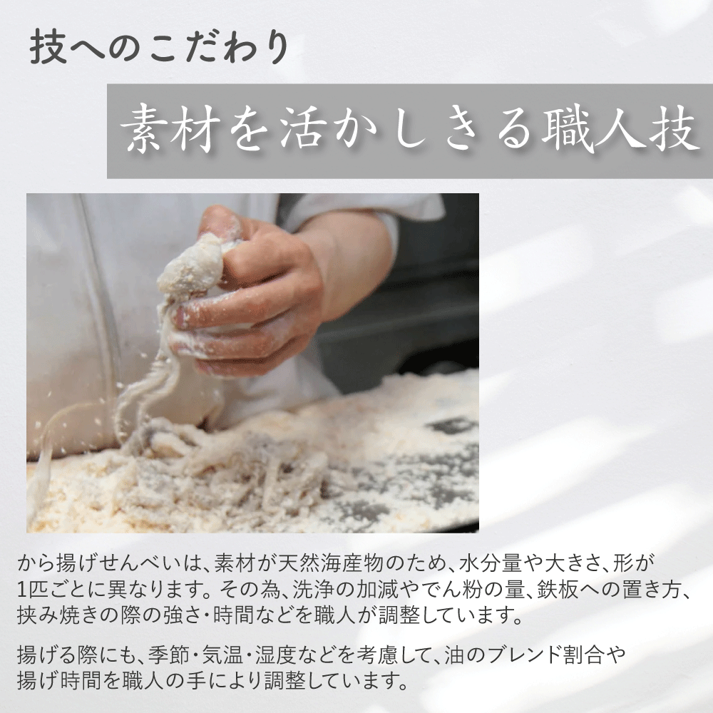 【WEB限定】【送料無料】から揚げせんべいお試しセット