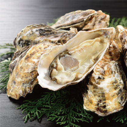 【夏季限定】牡蠣から揚げせんべい