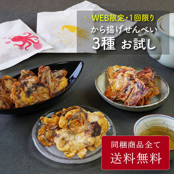 【WEB限定】【送料無料】から揚げせんべいお試しセット
